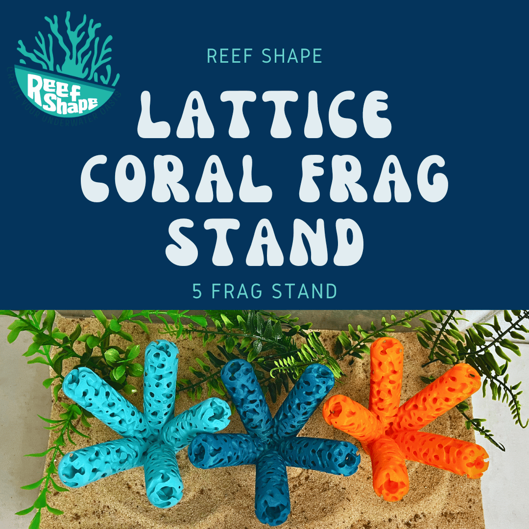 Aquarium Coral Frag Stand Branch | Lattice Coral Structure Branch Design with 5 Frag Mounts