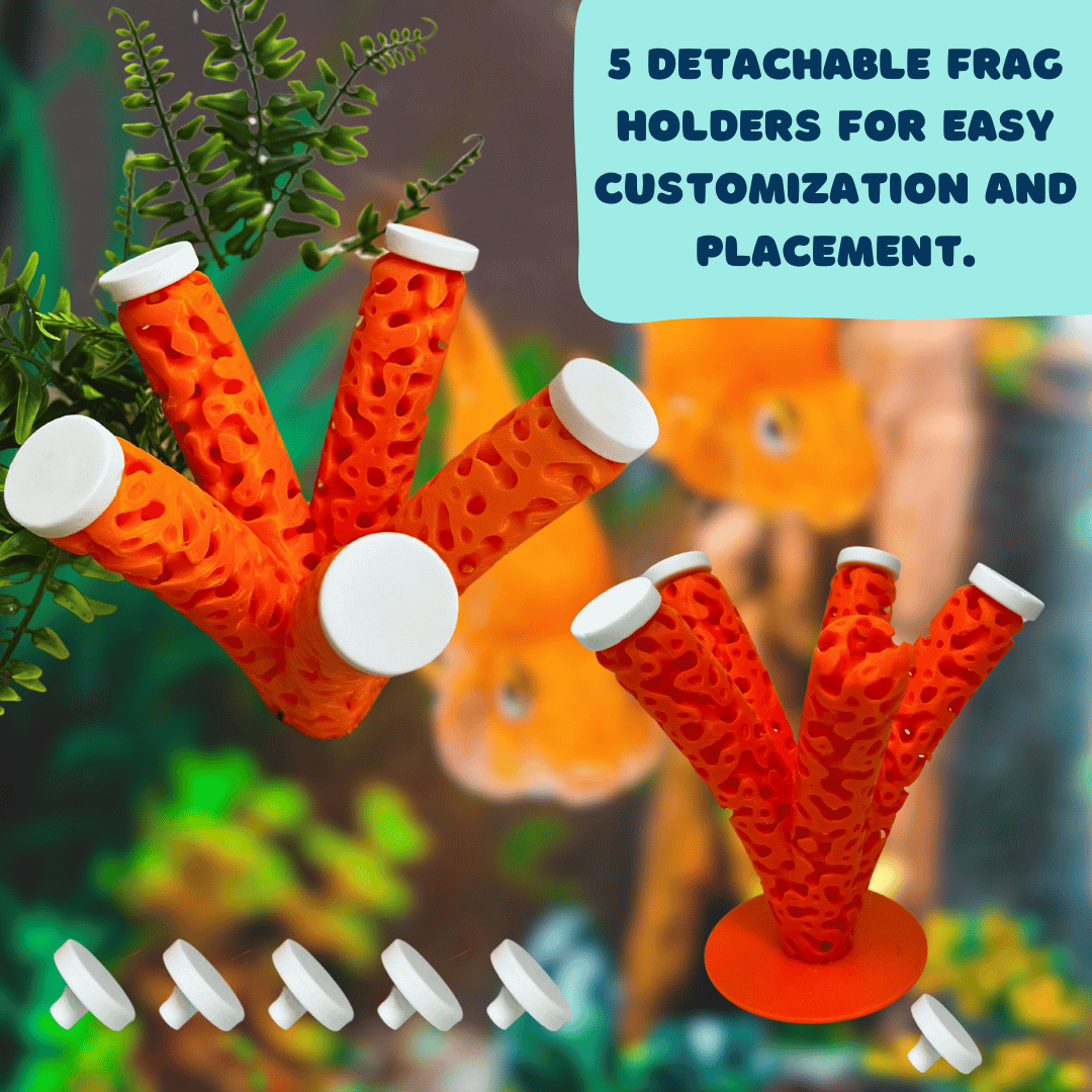 Aquarium Coral Frag Stand Branch | Lattice Coral Structure Branch Design with 5 Frag Mounts