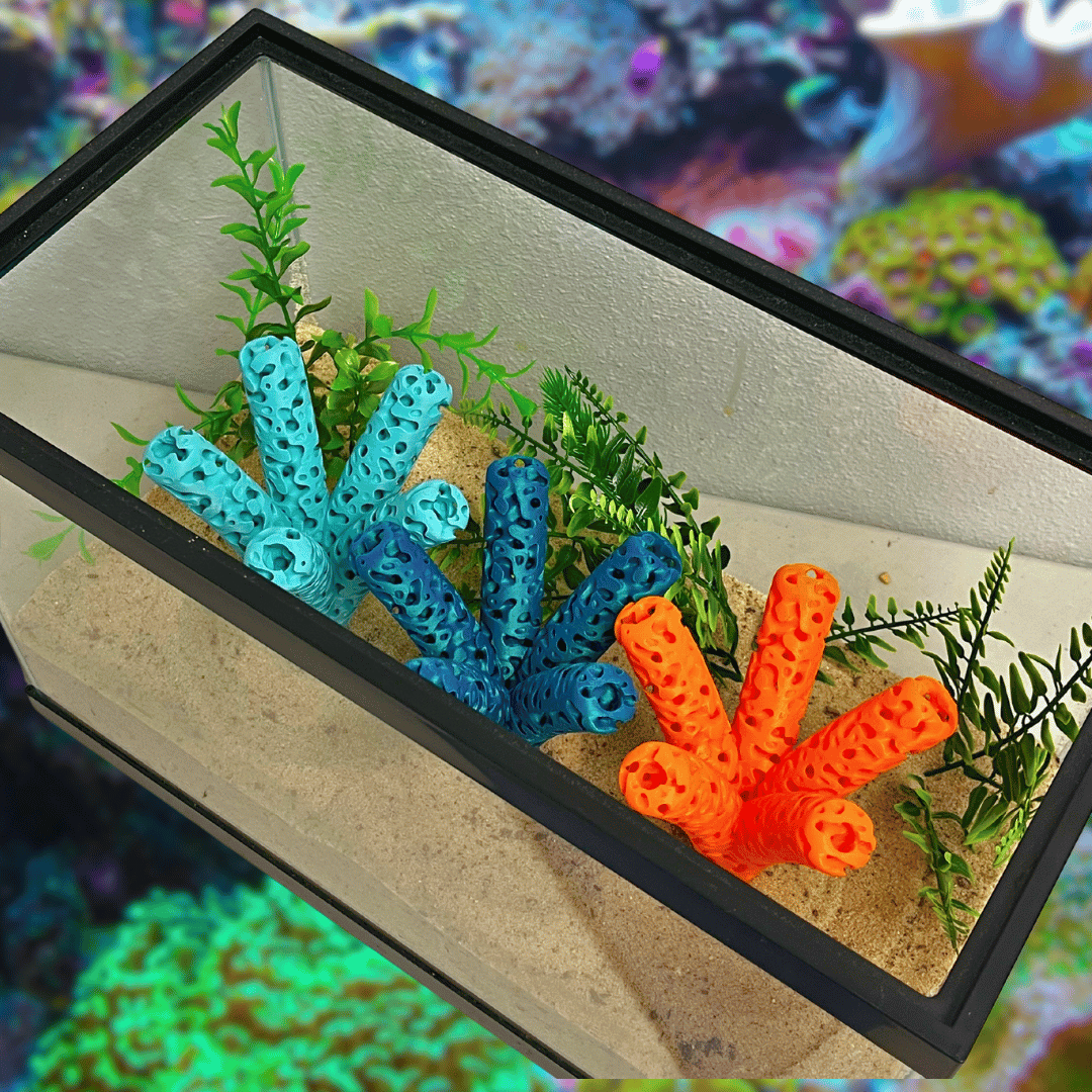 Aquarium Coral Frag Stand Branch | Lattice Coral Structure Branch Design with 5 Frag Mounts