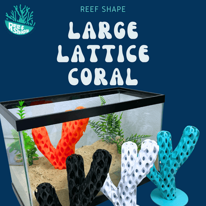 Aquatic Branch Haven – Lattice Coral Reef Branch Decor for Fish, Shrimp, & Aquatic Pets