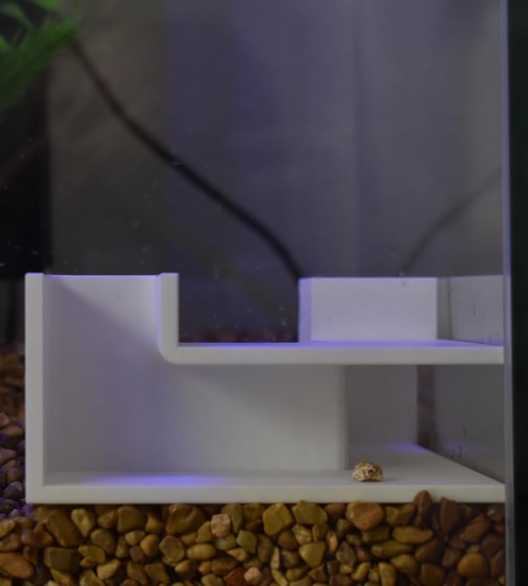 Chatelet Aquarium Underground Tunnel | Fish & Shrimp Hideout for Aquariums | Unique Underground Viewing Tunnel | Made in USA